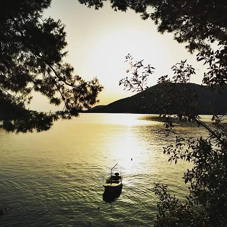 Uz Διαμέρισμα